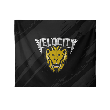 Velocity Wall Flag - 50x60